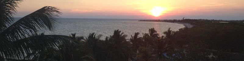 Bannière de Damien_COUCHEZ