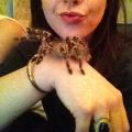 Manou Minou