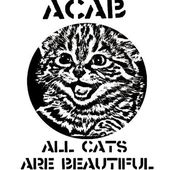 Allcats_Arebeautiful