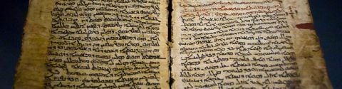 Grimoires, codex et raretés