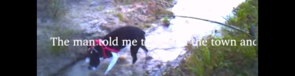 Cover Les meilleurs films de 2015