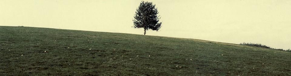 Cover Les meilleures séries diffusées sur HBO