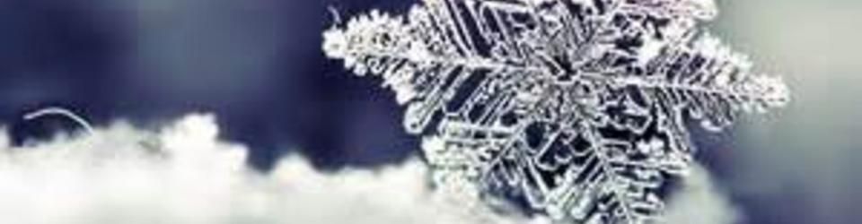 Cover Films d'hiver ...
