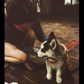 Justine_Poupart