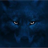 Djhyene_Tim_Hyene