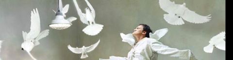 top 100 films