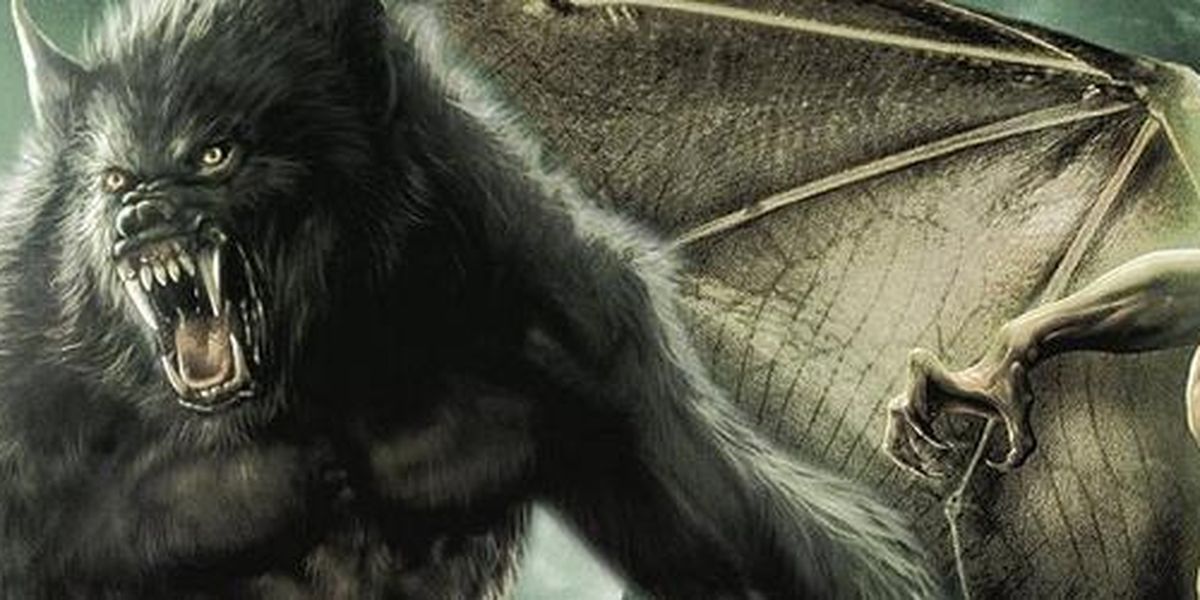 Films Vampires et LoupsGarous Liste de 104 films SensCritique
