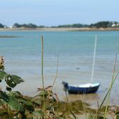 Rose-Marie_Pechallat