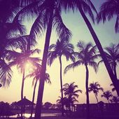 Quentin_Cailleau