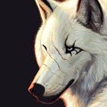 White_Fang