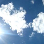 Chevalier_de_la_Rose