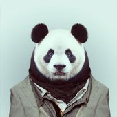 PtiPanda