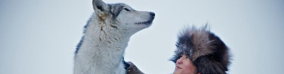 Cover Les meilleurs films avec des loups