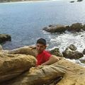 Menad Dib