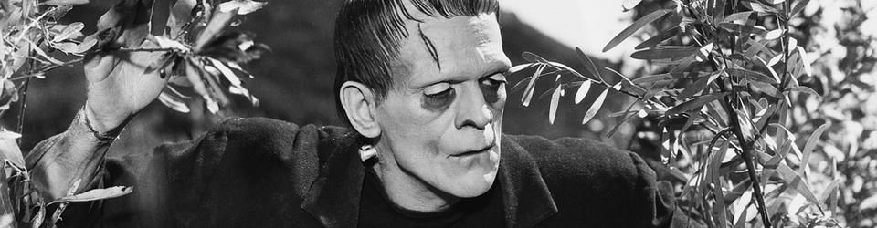 Cover Les meilleurs films avec Boris Karloff