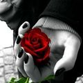 Rose Sylvia