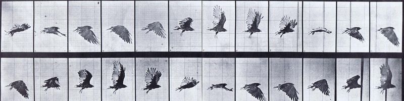 Bannière de Sorbet-Citron