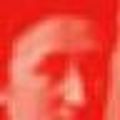 Poireau1