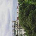 Nael_Rappeneau