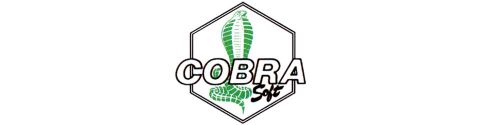Cobrasoft (tribute)