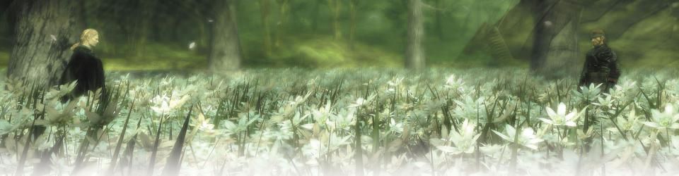 Cover Les meilleurs jeux vidéo de 2004