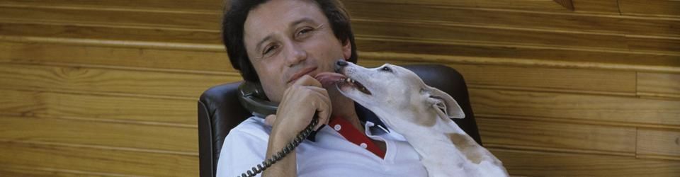 Cover Les meilleurs films où le personnage principal est un chien