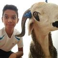 Anas Naqy