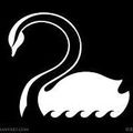 Clever Swan
