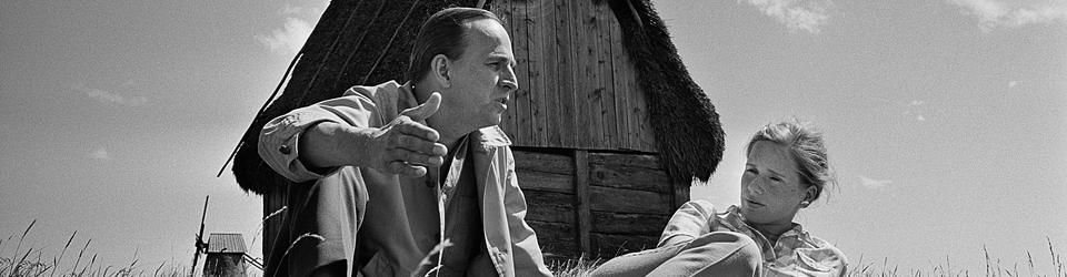 Cover Ingmar Bergman (Perso)