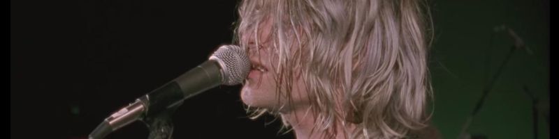 Bannière de Mariou pingouin