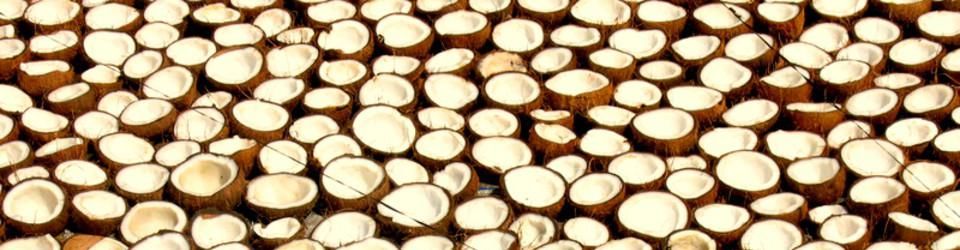 Cover Les recos des cocos