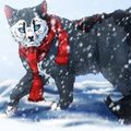 Ookami Neko