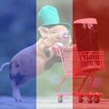 Thibault Se