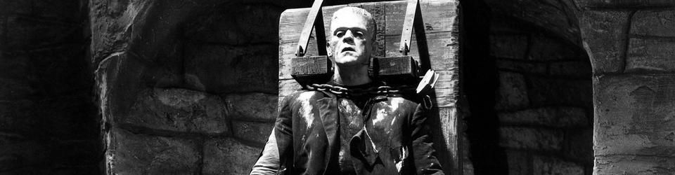 Cover It's alive ! Les films sur Frankenstein