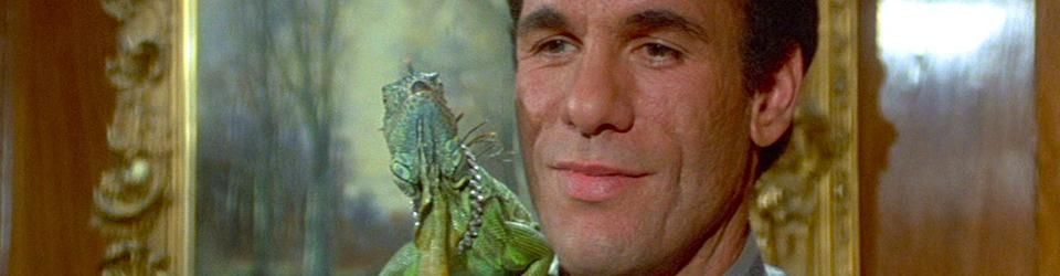 Cover Les meilleurs films avec Robert Davi