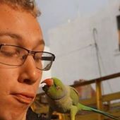AdrienGobs