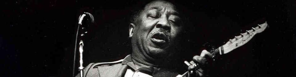 Cover Discographie de Muddy Waters