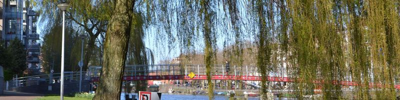 Bannière de eliottjvnl