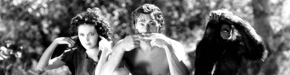 Cover Johnny Weissmuller alias Tarzan
