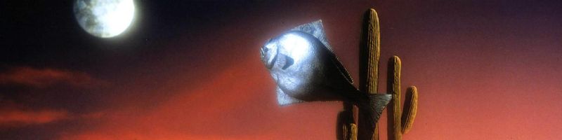 Bannière de leoleoleo