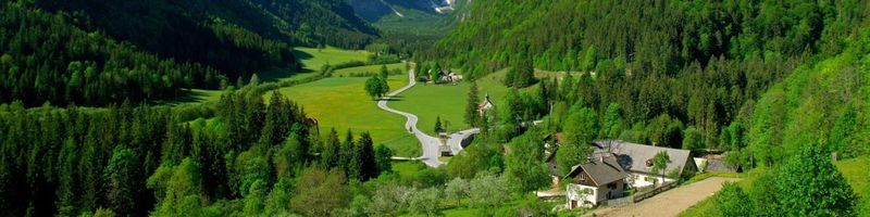 Bannière de Valentin Bardin