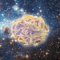 Fettuccine-Cosmic