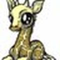 Le_roi_des_Girafes