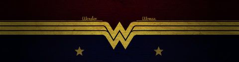 Dans la famille Wonder Woman, j'ai lu...