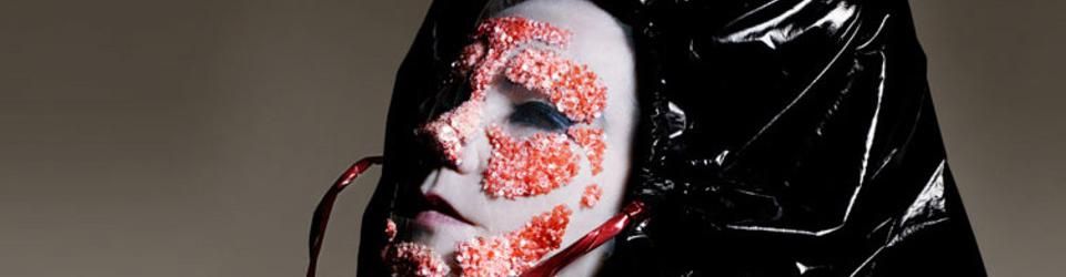 Cover Les albums méconnus de Björk