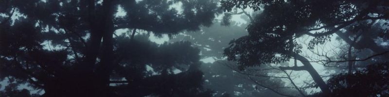 Bannière de Emeline Cstn