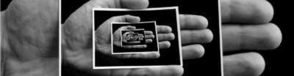 Cover Les Films Construits en Mise en Abyme