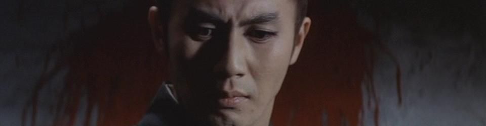 Cover Raizo Ichikawa Memorabilia