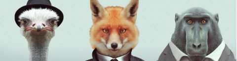 En lien avec L'ANIMAL, MIROIR DE L'HUMAIN - sélection littéraire