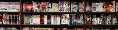 Ma collection BD/mangas/comics